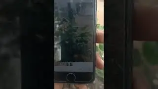 I phone 7 vs Oppo f19 Pro plus camera 📸 test