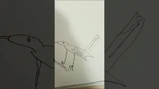 Very easy magpie drawing #shorts #art #drawing