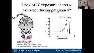 Endocrine Disrupting Chemicals: Effects on Mothers, and Interactions with Lifestyle