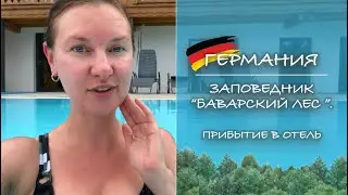 ГЕРМАНИЯ. Заповедник Баварский Лес. Прибытие в отель