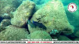 Scuba Diving at Grande Island is to experience.