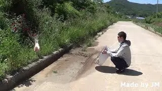 Archimedes Death Ray Weapon Experiment