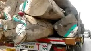 Indian Timber Trucking