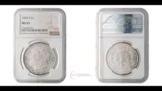 1880-S Morgan Dollar | NGC MS63 | San Francisco Mint Excellence