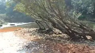 Dudhsagar waterfall jeep ride