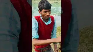 Farming !! kankrei cow !! surah bagarah ayat