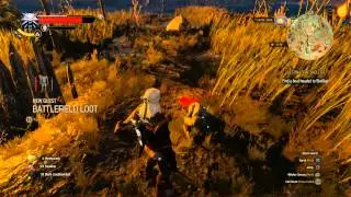 The Witcher 3: Battlefield Loot - Treasure Hunt