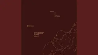 Synthesize (Original Mix)
