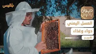 العسل اليمني.. دواء وغذاء وهدايا | تقرير: موسى النمراني