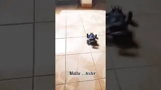 high speed drifting car under 999 rupees | @Lynx_tokky