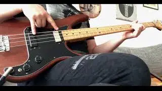 Bass shootout (Westone, Peavey, Precision, Thunderbird)