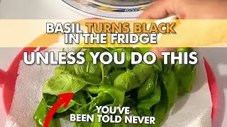 How to Store Basil in The Fridge Without It Turning Black