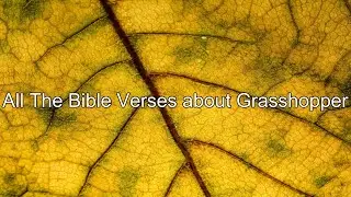 What does the Bible Say About Grasshopper - All the Bible Verses About Grasshopper