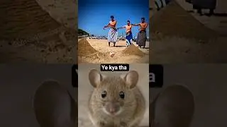 ye to yoga mast hai yaar #song #memes #ytshorts #funny #arijitsingt #yt #ytshort #like #catchy