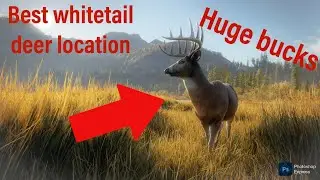 Best whitetail deer location on Layton lake