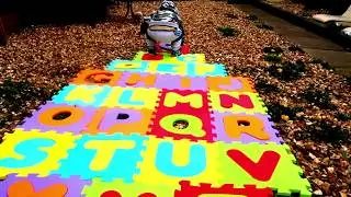 ABC song Nursery rhyme kids song by Kids like Mark Tv