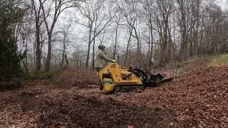 Brush clearing tick habitat