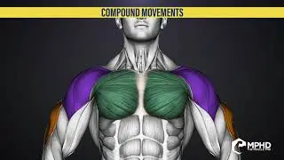 Brains to Gains: Compound Movements for the Chest
