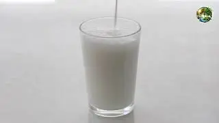 Why milk is white
