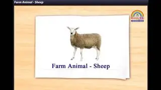 Introduction of 