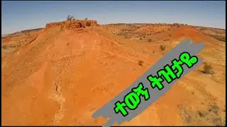 ተወኝ ልኑርበት/Tewogn linurbet ትዝታ