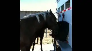 Discussing the difference between Horsemen and Cowboys - Rick Gore Horsemanship