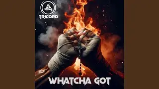 Whatcha Got