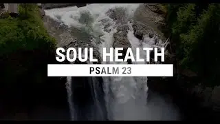 Soul Health (Psalm 23) - Dominic Done