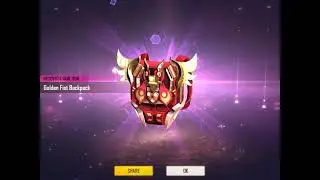 GOLDEN FIST  BACKPACK