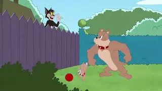 Tom and jerry show butch the nice cat