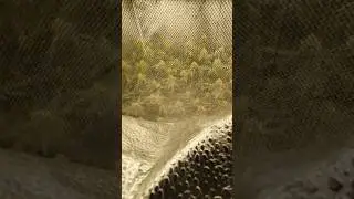 Ein Blick von au&szlig;en