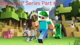 Shell SMP series Part #1