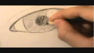 Learn How to Draw for Beginners( realism)