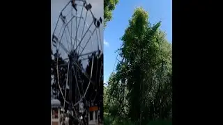 Exploring an abandoned 100 year old amusement park!