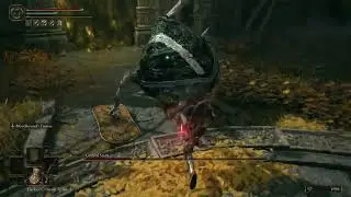 Let's Play Elden Ring EP60 - Grafted Scion and friends
