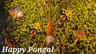 Happy Sankranti #Sankranti #bihu #pongal #lohri #festival #love #family #food #youtube #kite #funny 