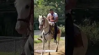 #baulaproducciones | Listos para el Tope de#nuevoarenal #caballos #nieto #pap&aacute;David #guanacaste