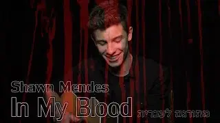 Shawn Mendes - In My Blood מתורגם לעברית