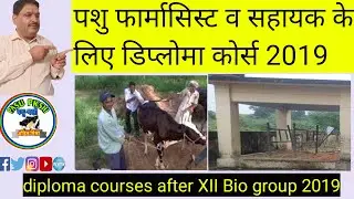Diploma for Veterinary assistant