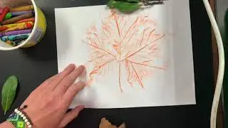 Texture Leaves