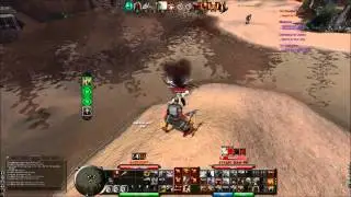 Brute Conqueror Tank DPS