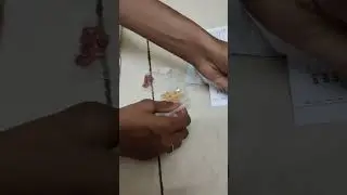 Sai Leela store నుంచి నేను ఆర్డర్ చేసిన విత్తనాలు👍 | Sai Leela store seeds review #gardening #viral