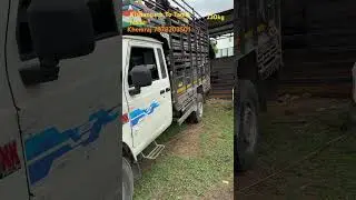 Goat Transportation Kishangarh To Tamil Nadu Coimbatore #sirohi #goat #sirohibakri #goatfarm