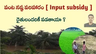 Input Subsidy 2022 AP - Panta Nastam In AP || Siva Ganesh Pasupuleti