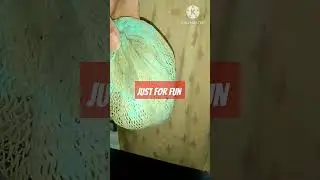 చిలకేమో పచ్చనిది #justforfun