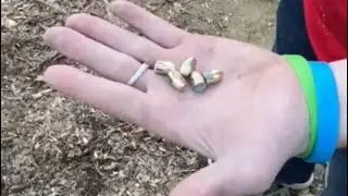 Will a book stop a .38 special (Destin-Nation)