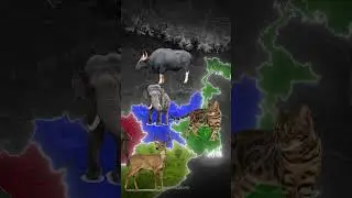 State Animal (Part II) | the geo explorer