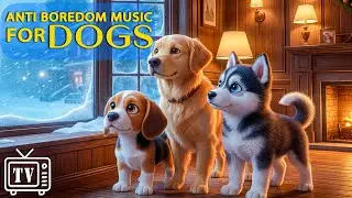 Dog Cartoons for Dogs: Anti-Anxiety & Boredom Music for Dogs During the U.S. Blizzard | Best Dog TV