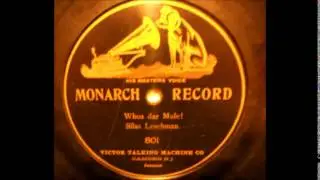 Whoa Der Mule - Silas Leachman