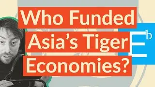 Asia's Tiger Economies Grew DESPITE The IMF | Econoboi